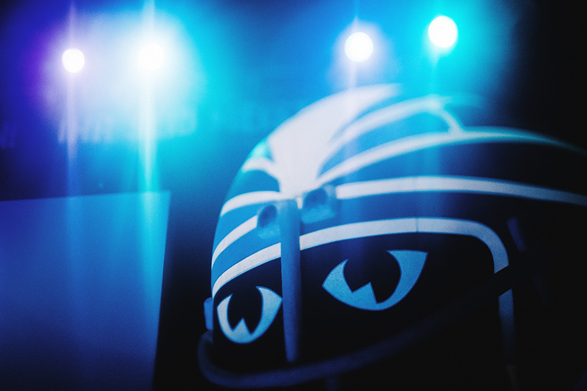 Hamburg Freezers Hockey DEL