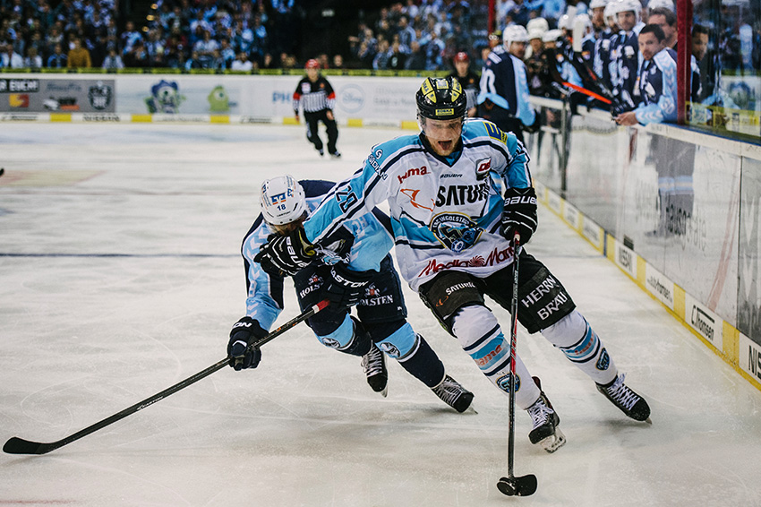 Hamburg Freezers
