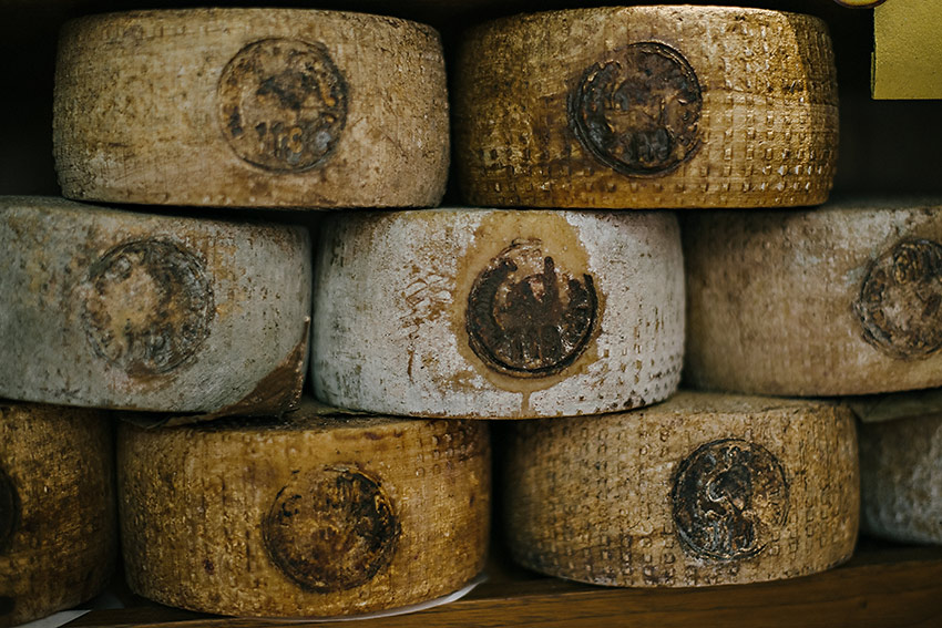 pienza_cheese