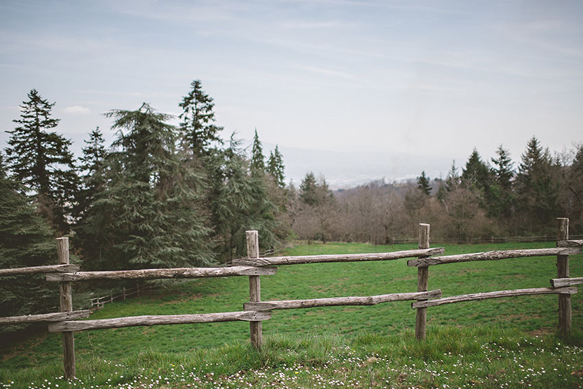 tuscany_fence